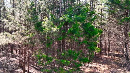 0 Bishop Rd, Middleton, TN, 38052 | Card Image
