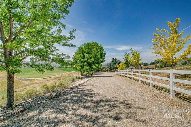 Tree Lined Driveway | Image 50