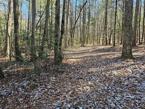 0 Wagon Train Rd, Murphy, NC, 28906 | Card Image