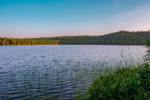 16 Ary Point Rd, Hovland, MN, 55606 | Card Image