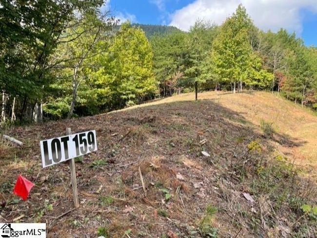 00 Birkdale Dr, House other with 4 bedrooms, 5 bathrooms and 2 parking in Mill Spring NC | Image 5