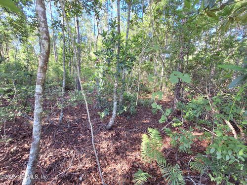 0 E Alachua St, Palatka, FL, 32177 | Card Image