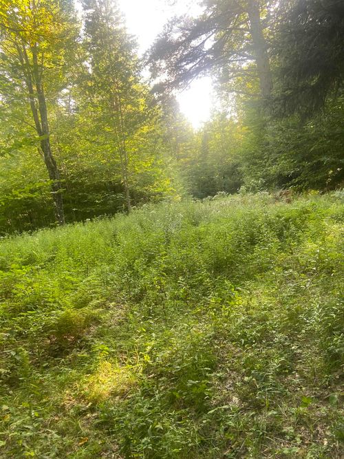 1138 South Rd, Peru, VT, 05152 | Card Image