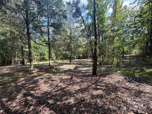 5630 Woodsferry Rd, Home with 0 bedrooms, 0 bathrooms and null parking in Carlisle SC | Image 12