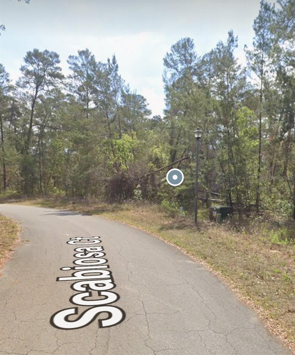 Land in HOMOSASSA 3