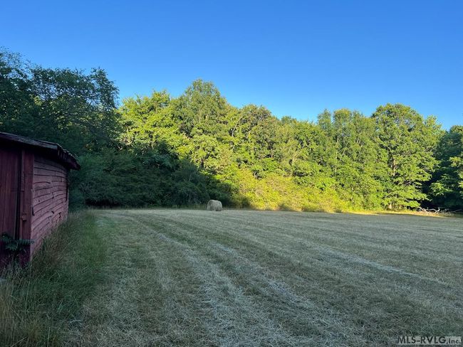Small Pasture | Image 56