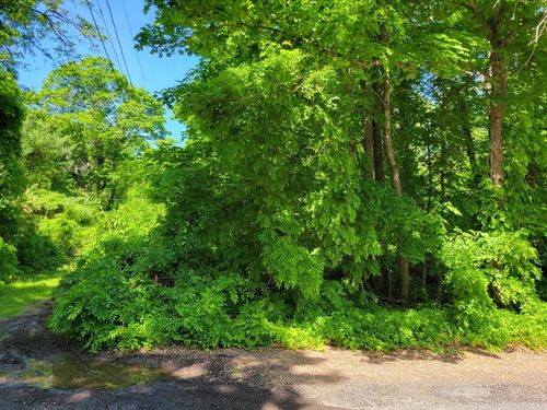 Lot 6 Daniels Rd, Charlton, MA, 01507 | Card Image