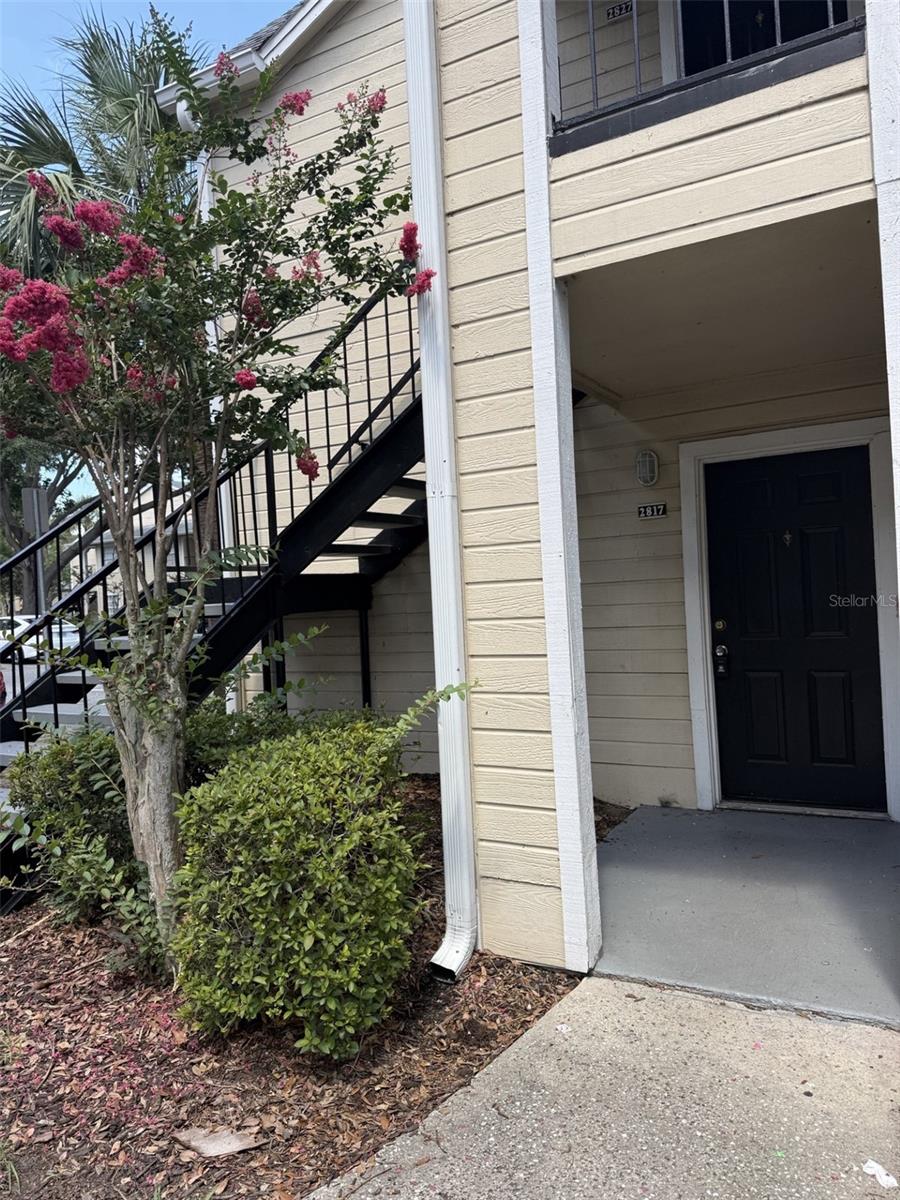 Residential in ORLANDO 3