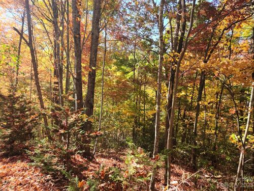 17-00 Angel Of The Lake St, Lake Lure, NC, 28746 | Card Image