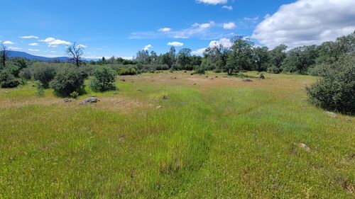 000 Ole Ave, Manton, CA, 96059 | Card Image
