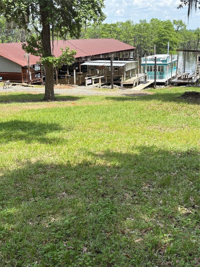 View of yard | Image 5
