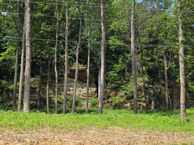1 Cave Creek Rd, Home with 0 bedrooms, 0 bathrooms and null parking in Falls Of Rough KY | Image 10