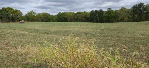 TBD N Ogden, Laketon, IN, 46943 | Card Image