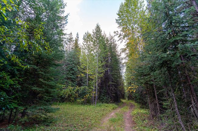 775 Trail Creek Rd, Home with 0 bedrooms, 0 bathrooms and null parking in Polebridge MT | Image 9
