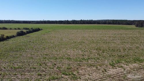 5600 Black Rd, Mc David, FL, 32568 | Card Image