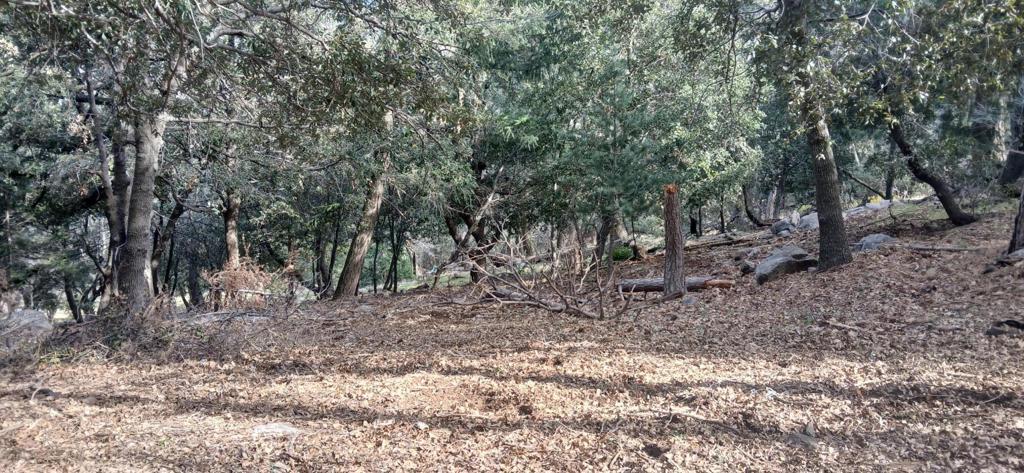 Land in Crestline
