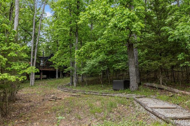 View of yard | Image 54