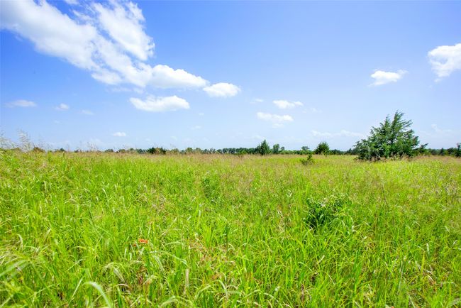 View of undeveloped land with rural landscape | Image 5