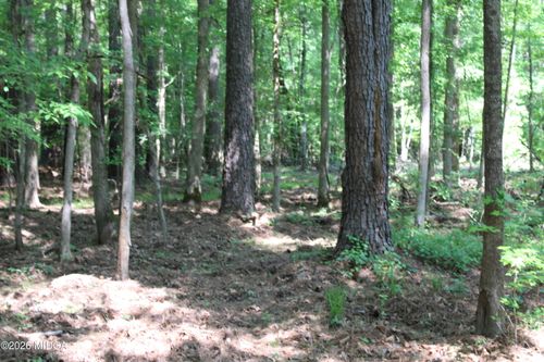 000 Hwy 87 Tract 3, Forsyth, GA, 31029 | Card Image