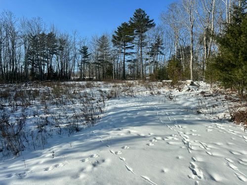 3 Sea Light Lane, Rockport, ME, 04856 | Card Image
