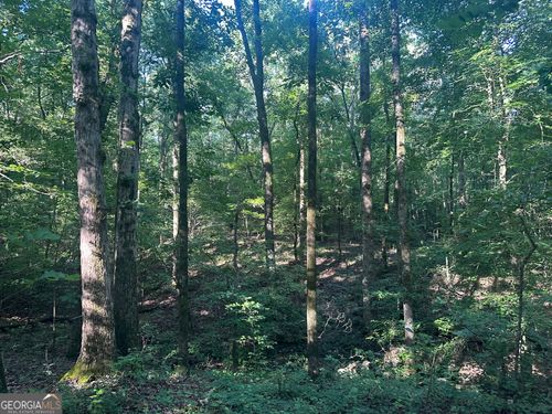 0 Highway 72 E, Carlton, GA, 30627 | Card Image