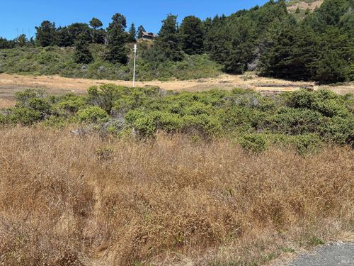 43601 Sea Cypress Dr, Manchester, CA, 95459 | Card Image