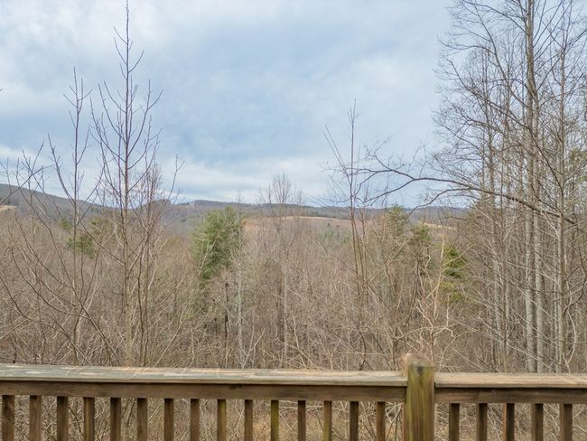 913 Kanawha Ridge Rd, House other with 3 bedrooms, 2 bathrooms and null parking in Dugspur VA | Image 51