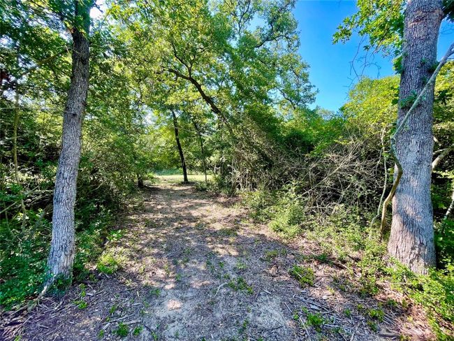 9242 Stetson Drive, Home with 0 bedrooms, 0 bathrooms and null parking in Hilltop Lakes TX | Image 4