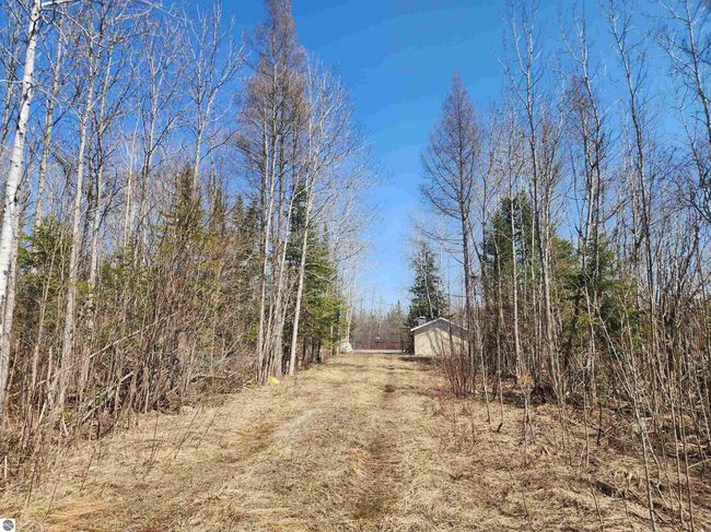 000 Old M 66 Nw, Home with 0 bedrooms, 0 bathrooms and null parking in Kalkaska MI | Image 12