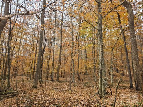 4901 & 4927 Montford Rd, Pfafftown, NC, 27040-9765 | Card Image