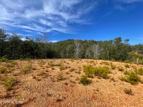 Lot 36 Bullet Mountain Dr, Tellico Plains, TN, 37385 | Card Image