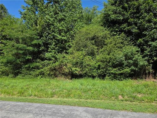 Lot 2 Branch Bridge Street, Branchville, VA, 23828 | Card Image