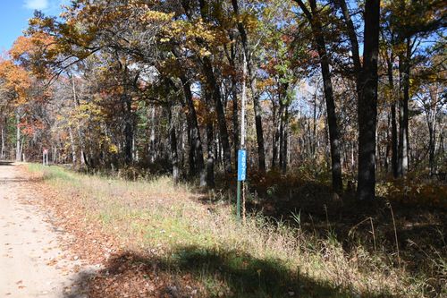 38970 Odin Ct, Browerville, MN, 56438 | Card Image