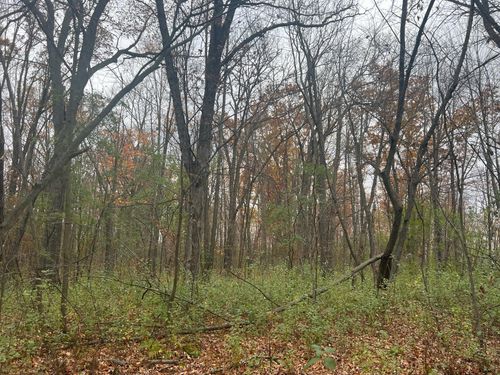 178 50th Ave, Ogilvie, MN, 56358 | Card Image