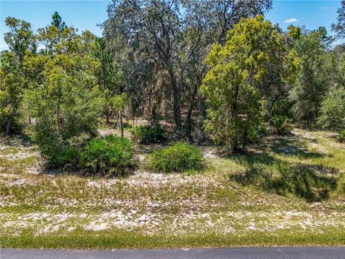 3134 Brightwater Ct, Leesburg, FL, 34748 | Card Image