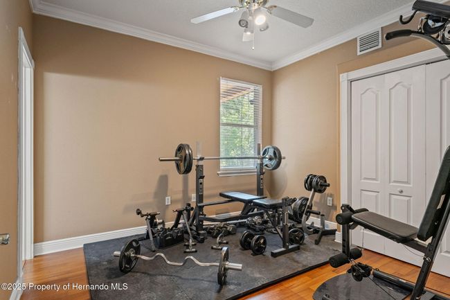 26221 Pheasant Run, House other with 4 bedrooms, 3 bathrooms and null parking in Wesley Chapel FL | Image 47