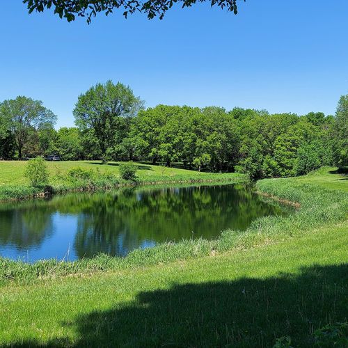XXX Cottonwood Street S, Revere, MN, 56166 | Card Image