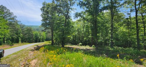 LT 90 Barrel Knot Court, Ellijay, GA, 30536 | Card Image