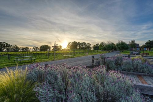 7505 Wise Rd, Auburn, CA, 95603-9738 | Card Image