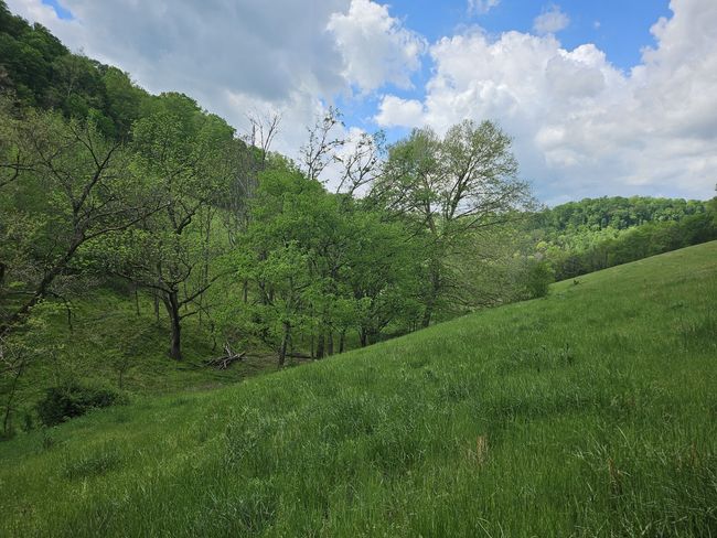 263 Club Springs Rd, House other with 3 bedrooms, 4 bathrooms and 8 parking in Elmwood TN | Image 57