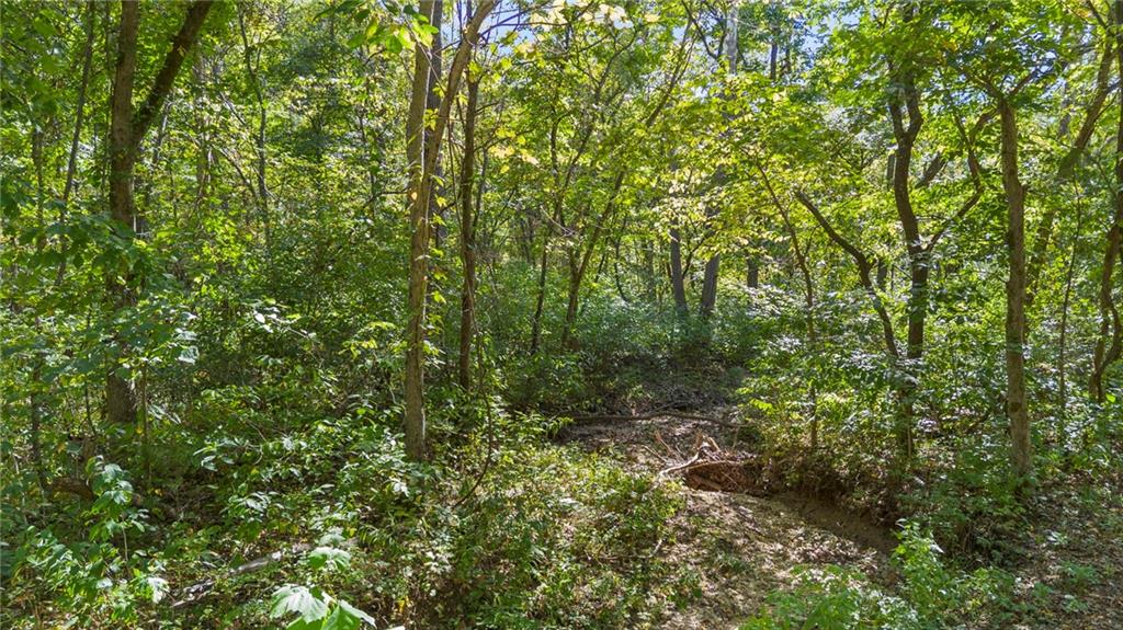Land in Gravois Mills 3