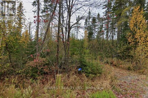 60 Stahls Road, Huntsville (Chaffey), ON, P1H2J4 | Card Image