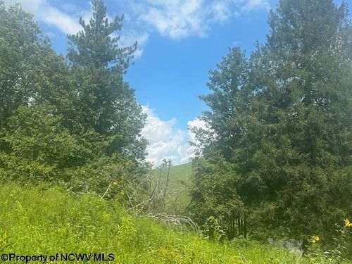 TBD Barbour County Highway Ext, Belington, WV, 26250 | Card Image