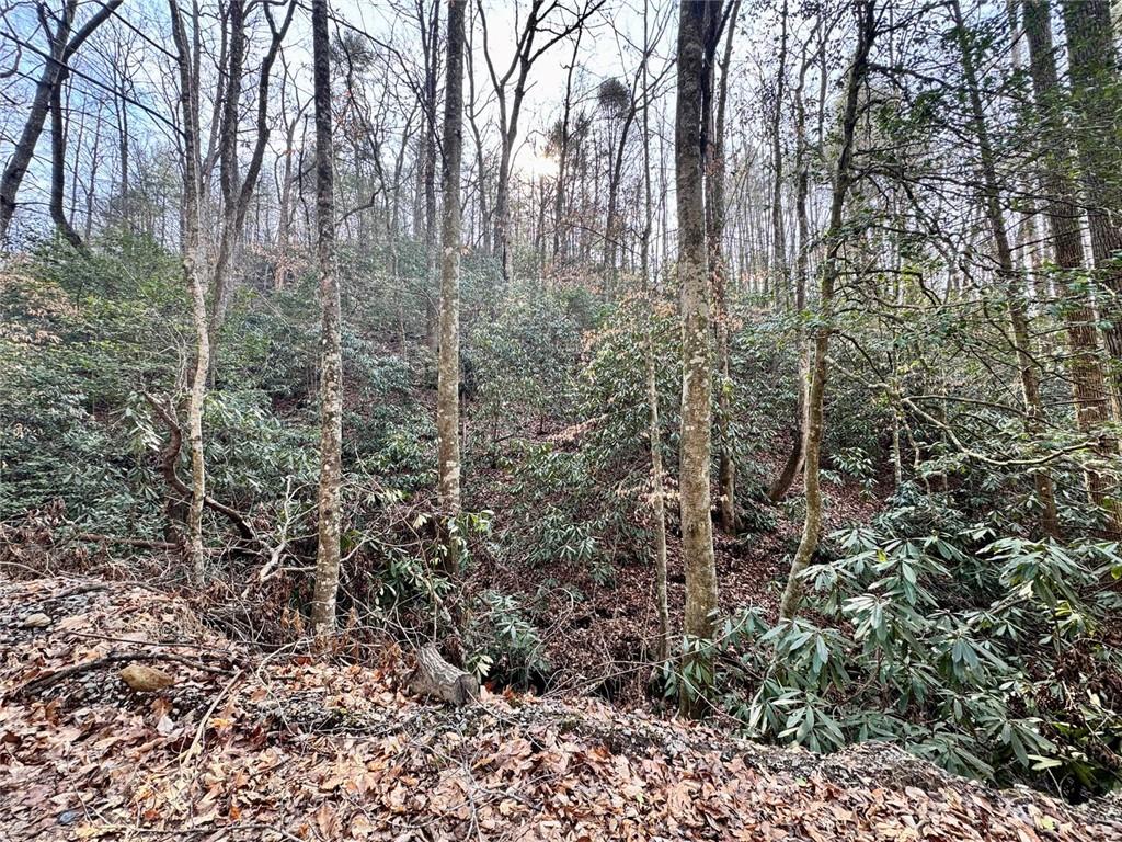 Land in Ellijay 3