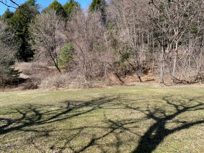 1254 Route 5, House other with 8 bedrooms, 1 bathrooms and null parking in Springfield VT | Image 55