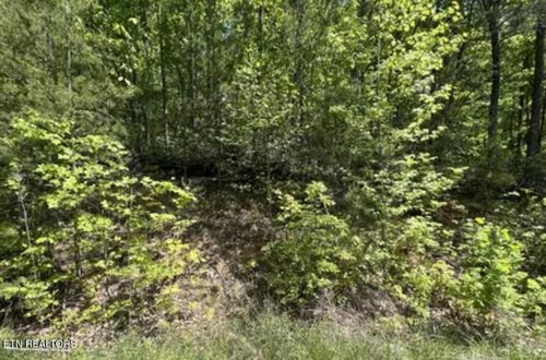 Lot 81 Yellowwood Drive, Sevierville, TN, 37876 | Card Image
