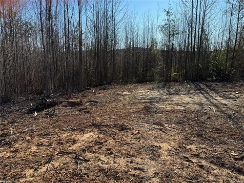 45 Billings Hill Church Rd, Traphill, NC, 28685 | Card Image