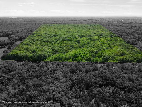 40 ACRES N Phillipe Rd, HALLSVILLE, MO, 65255 | Card Image