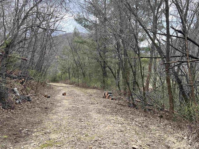 71 +/- Acres Scenic View Road, Home with 0 bedrooms, 0 bathrooms and null parking in Seneca WI | Image 29