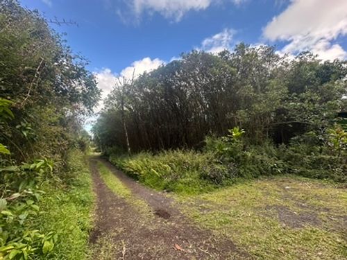 12-559 Hawaii St, PAHOA, HI, 96778-9300 | Card Image